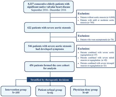 Therapeutic Decision-Making and Outcomes in Elderly Patients With Severe Symptomatic Aortic Stenosis: Prognostic Implications of Elderly Patients' Initial Decisions